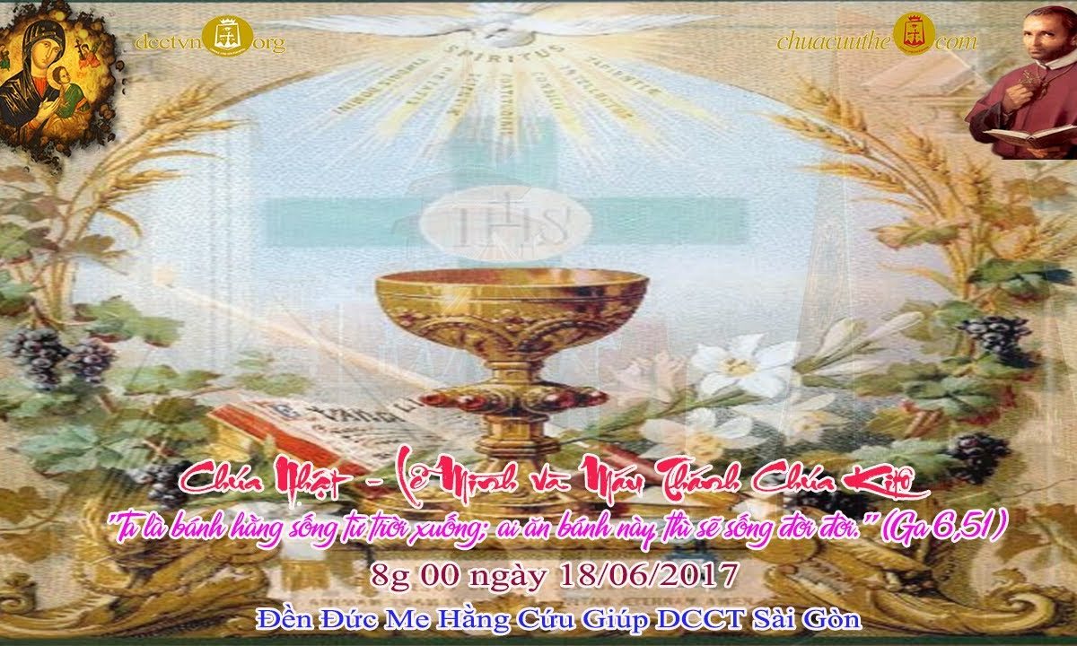 Chúa Nhật Lễ Mình và Máu Thánh Chúa Kitô 8g 00 – Đền Đức Mẹ Hằng Cứu Giúp DCCT