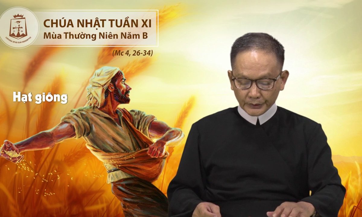 Chúa Nhật tuần XI thường niên B Mc 4,26-34 – Lm Tôma Trương Đình Sơn CSsR 17/06/2018