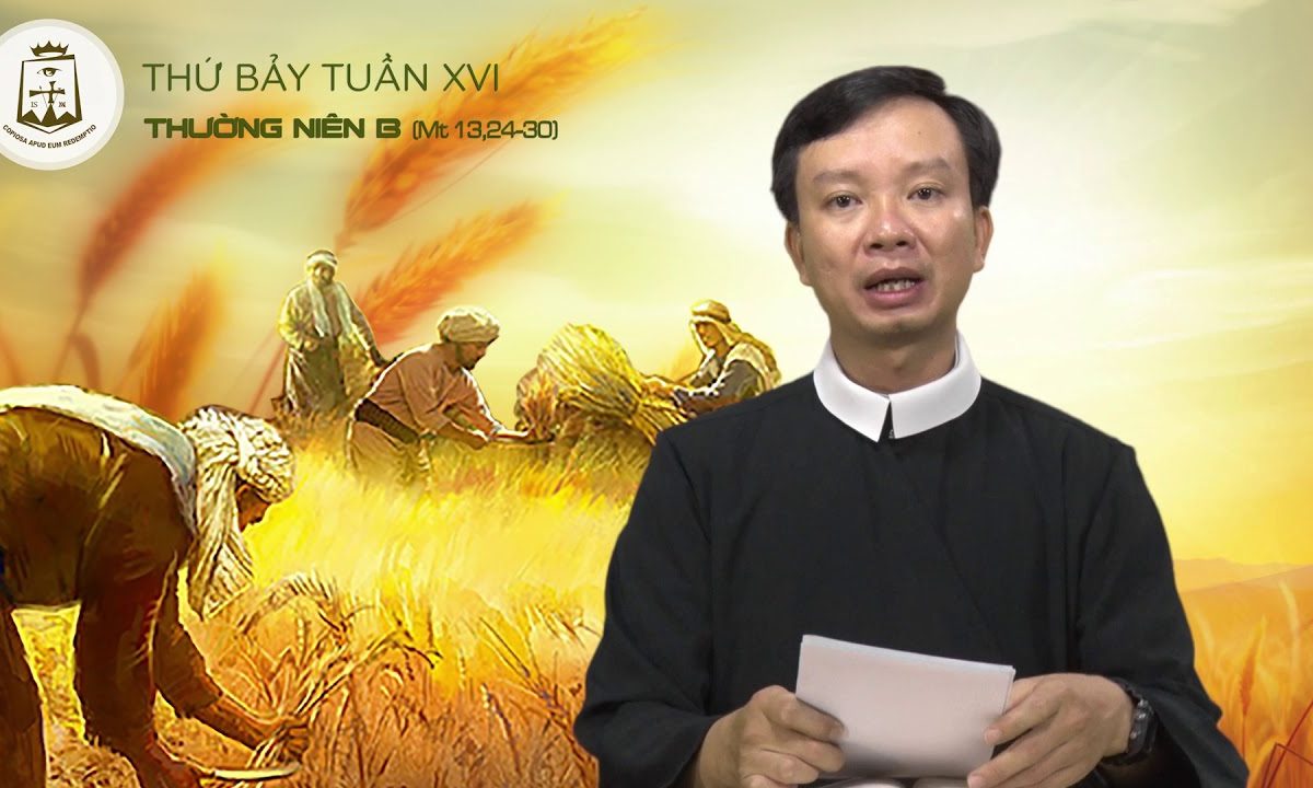 Thứ Bảy tuần XVI thường niên B, Mt 13,24-30 – Lm Giuse Nguyễn Quốc Toản 28/07/2018