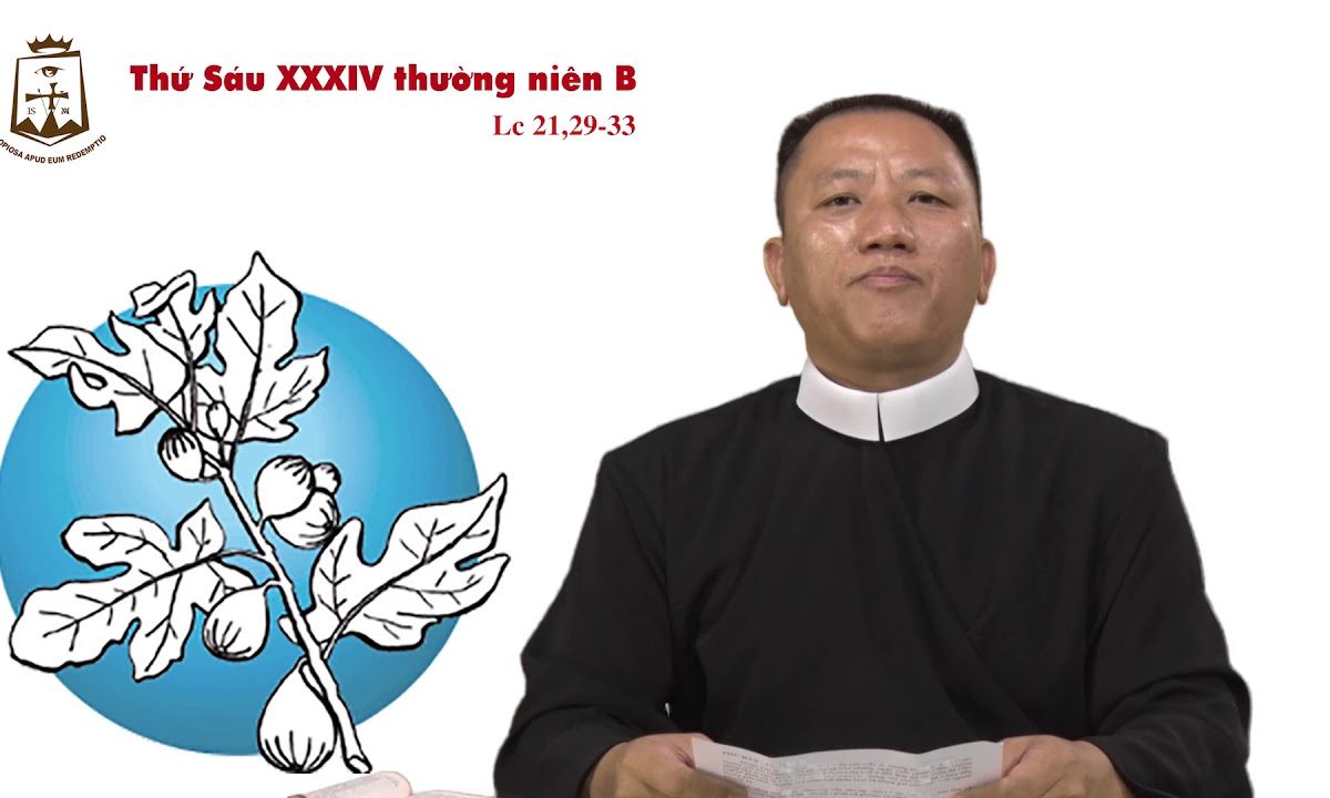 Thứ Sáu tuần 34 Thường Niên B (Lc 21,29-33) – Lm JB Hoàng Xô Băng CSsR 30/11/2018