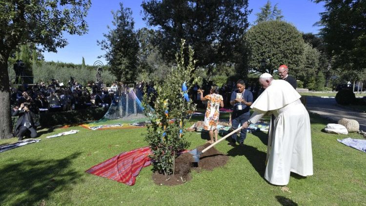 Đức Thánh Cha Phanxicô trồng cây tại vườn Vatican