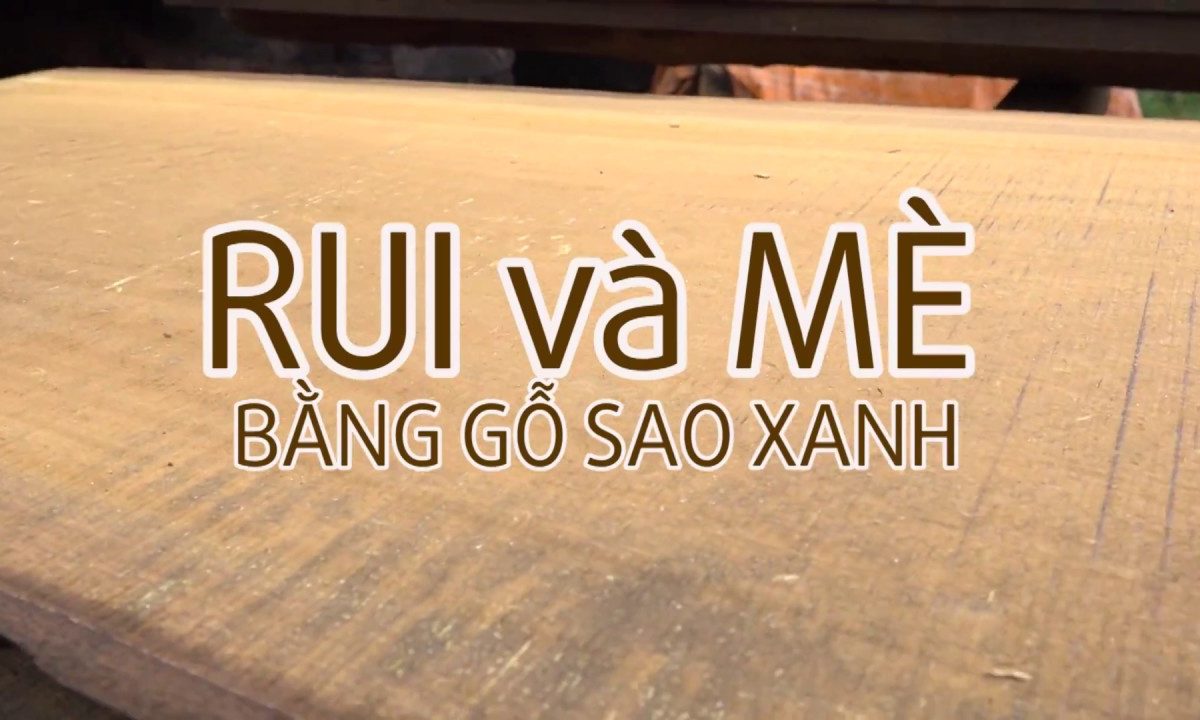 Trùng tu nhà thờ Đức Bà Sài Gòn: Rui và Mè bằng gỗ sao xanh