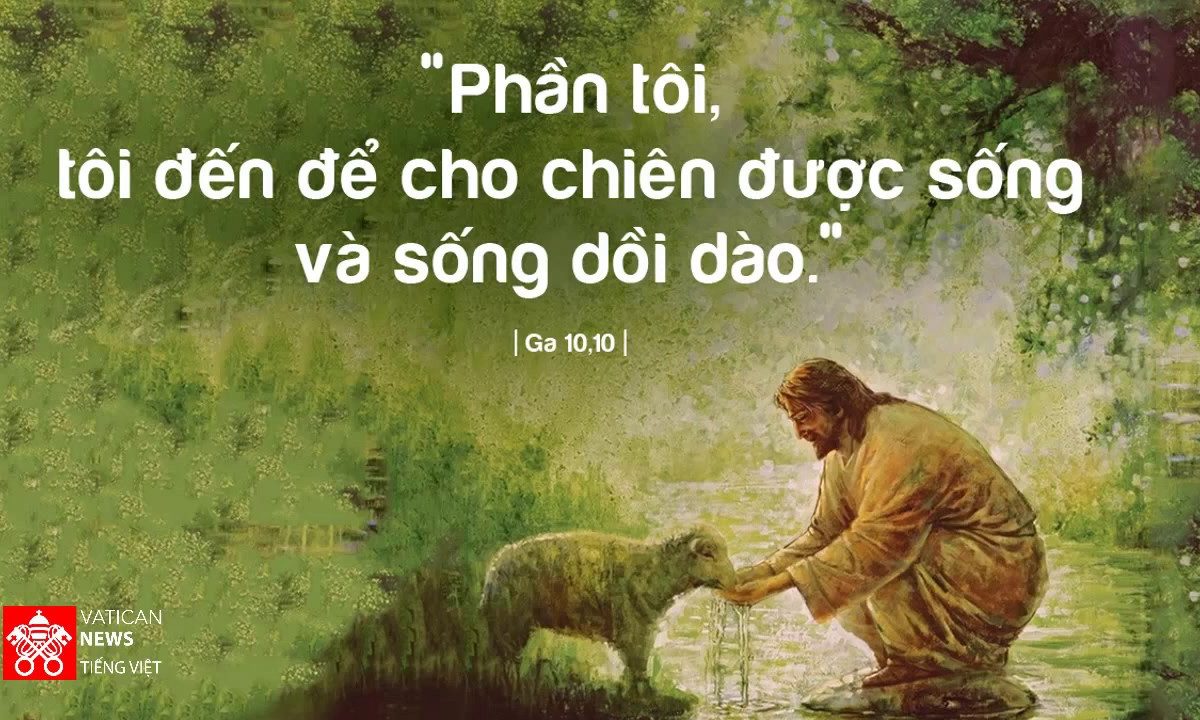 Đài Phát Thanh Vatican thứ Hai 14.10.2019