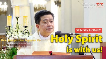 Holy Spirit is with us! – Fr. Joseph Dao Nguyen Vu – Sixth Sunday of Easter Homily (May 17, 2020)