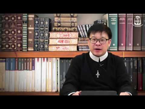 Tìm hiểu Tin mừng Chúa Nhật tuần XII thường niên năm A: Mt 10,26-33