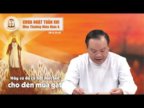 Lời Chúa – Chúa Nhật Tuần XVI Mùa Thường Niên Năm A – 19/07/2020