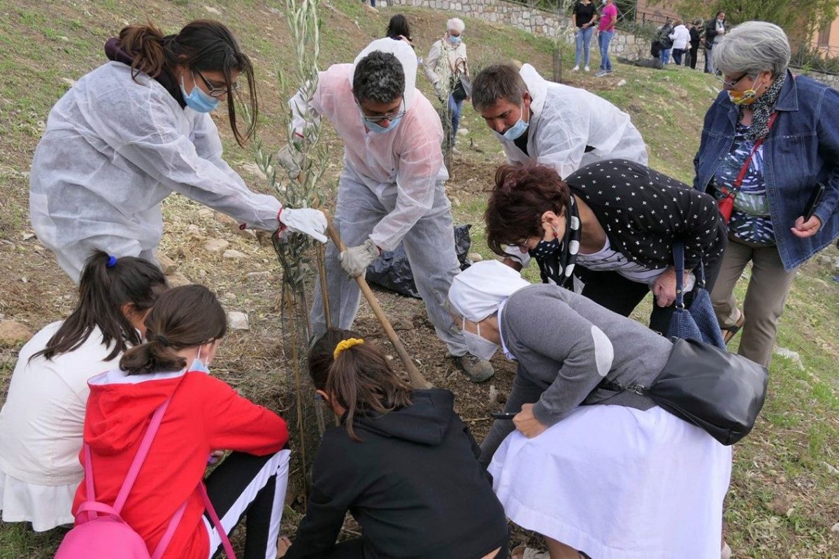 Các khóa học mới dành cho các linh hoạt viên của Laudato si’