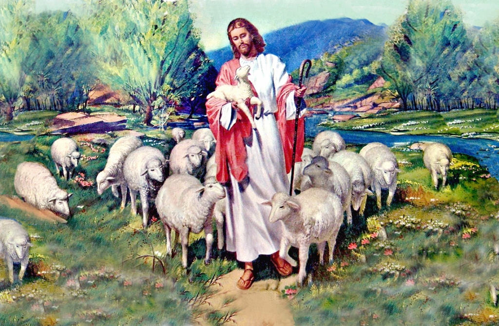 “Hy sinh mạng sống vì chiên” Suy niệm Lời Chúa – Chúa Nhật IV – Mùa Phục Sinh || 25/04/2021