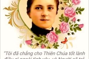 MƯA HOA HỒNG TỪ TRỜI XUỐNG