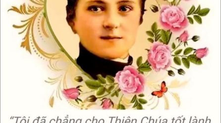 MƯA HOA HỒNG TỪ TRỜI XUỐNG