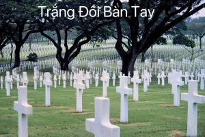 TRẮNG ĐÔI BÀN TAY